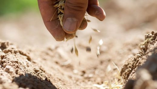 The Parable of the Sower
