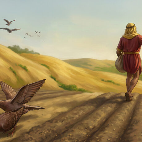 The Kingdom Of Heaven As Seen Through Parables
